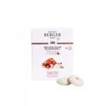 Automobilio kvapo papildymas Maison Berger Oriental Star, 2 vnt.