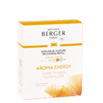 Automobilio kvapo papildymas Maison Berger SPARKLING ZEST,  2vnt