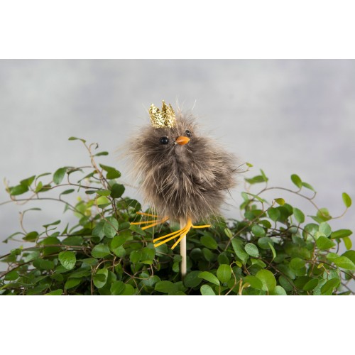 Dekoracija įsmeigiama A Lot Chicken Crown, rudos sp., 6 cm.