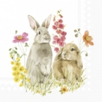 Servetėlės IHR HOP ON SPRING, marga, 33 x 33 cm