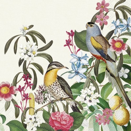 Servetėlės IHR JUNGLE BIRDS, kreminės sp., 33 x 33 cm