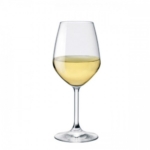 Taurė baltam vynui Bormioli Rocco DIVINO, 450 ml